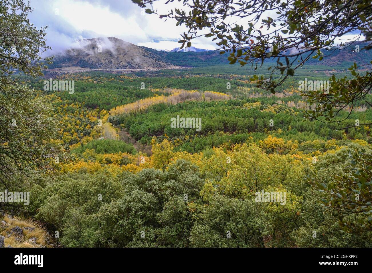 Paysage d'automne vu d'en haut d'un sentier dans la Sierra de Huetor avec des feuilles vertes et jaunes, ainsi que des montagnes en arrière-plan avec cl Banque D'Images