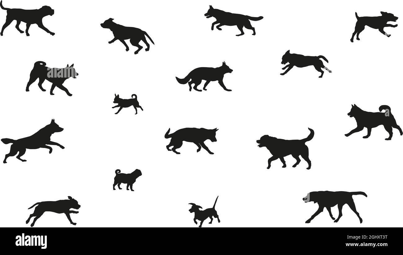 Groupe de chiens de différentes races. Silhouette de chien noire. Chiens de course, debout, marchant, sautant. Isolé sur un fond blanc. Animaux de compagnie. Vecteur. Illustration de Vecteur