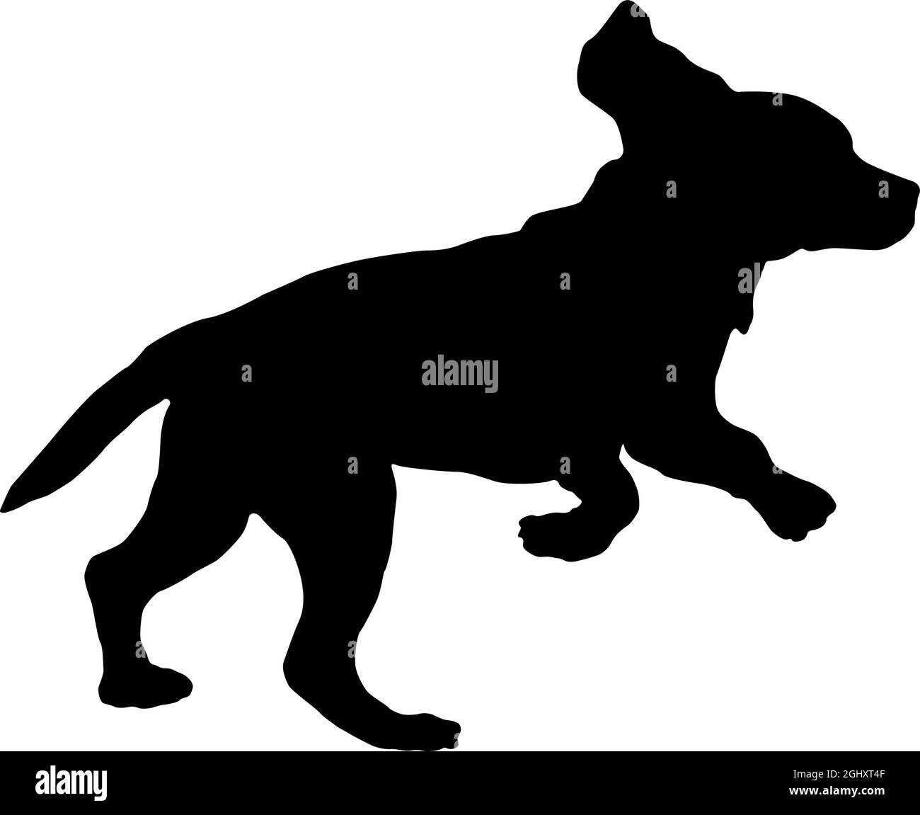 Silhouette de chien noire. Courir et sauter beagle anglais chiot. Animaux de compagnie. Isolé sur un fond blanc. Illustration vectorielle. Illustration de Vecteur Silhouette de chien noire. Courir et sauter beagle anglais chiot. Animaux de compagnie. Isolé sur un fond blanc. Illustration vectorielle. Illustration de Vecteur