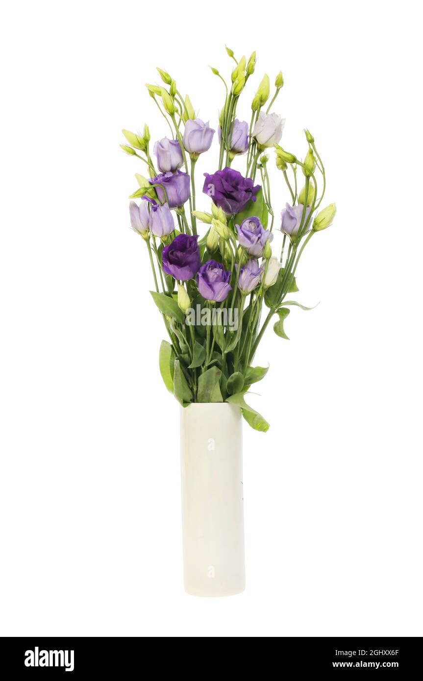 Arrangement de fleurs de lisianthus dans un vase isolé contre blanc Banque D'Images