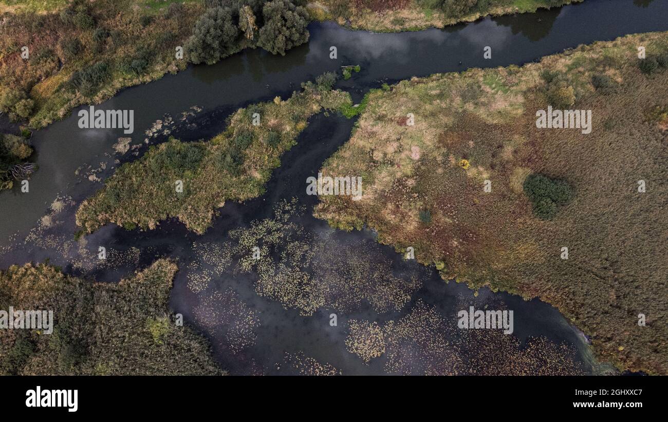 Parc. Une rivière sinueuse avec des