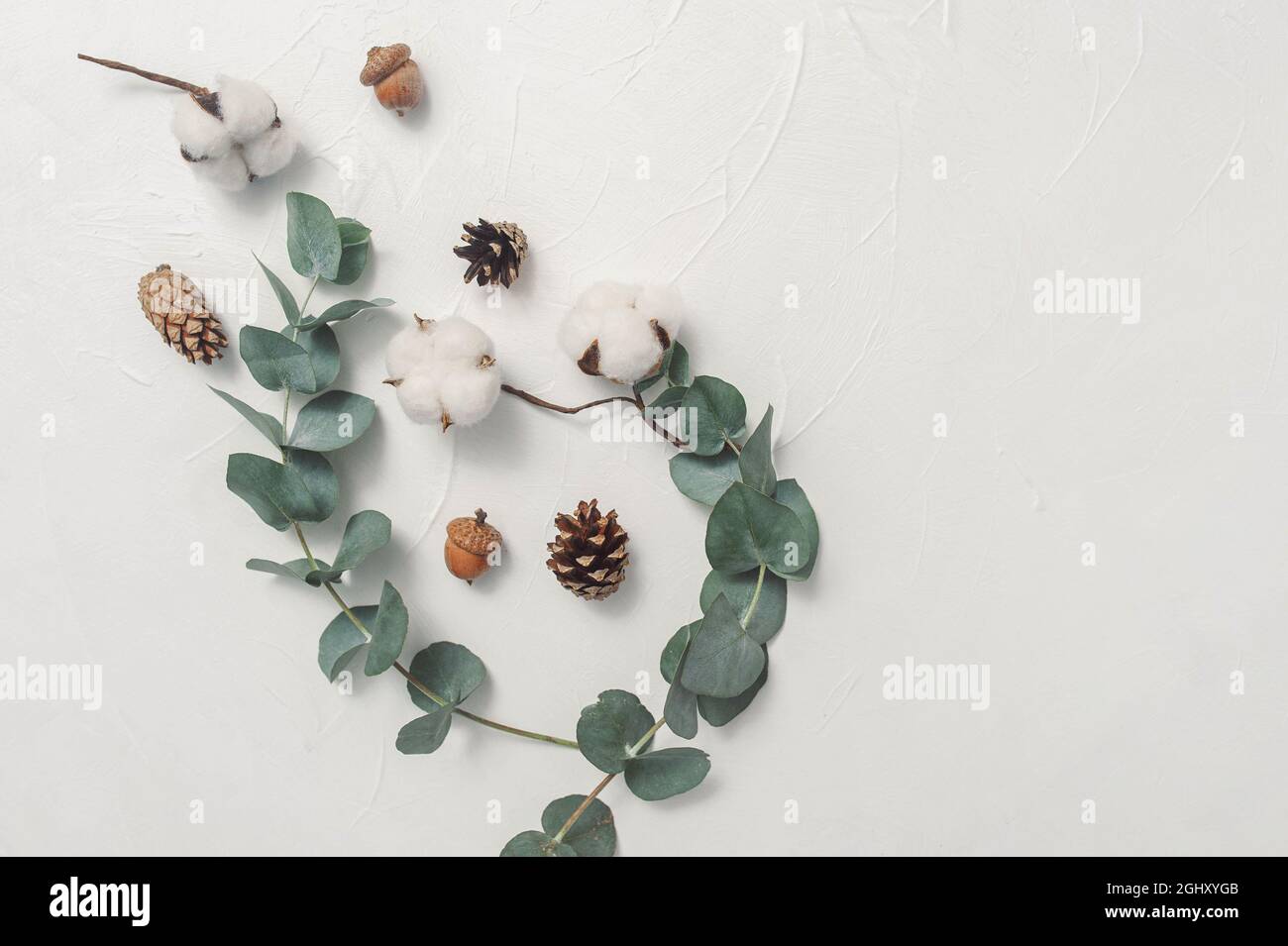 Automne maquette de feuilles d'eucalyptus et de coton avec place pour le texte sur fond blanc. Couronne en branches, cônes. Flat lay, vue de dessus Banque D'Images