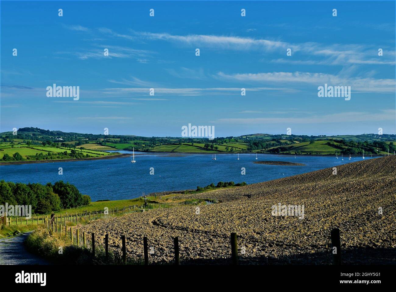 Strangford Lough de Delamont Country Park, County Down, Irlande du Nord Banque D'Images