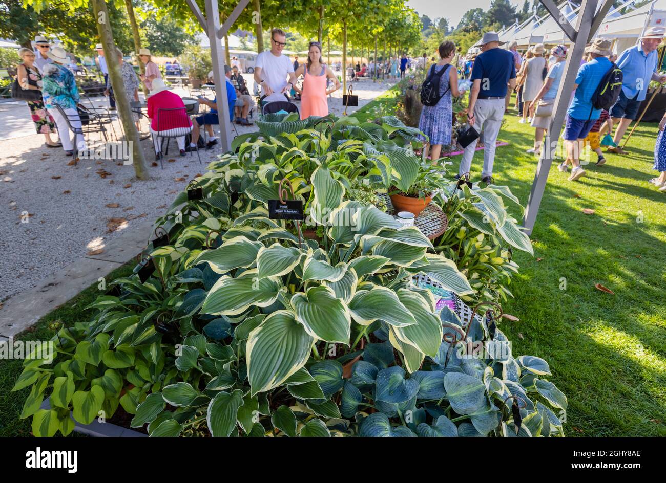 RHS Garden Wisley Flower Show 2021. Les visiteurs affluent pour assister au spectacle annuel dans l'emblématique RHS Garden à Wisley, Surrey, lors d'une journée ensoleillée au début de septembre Banque D'Images