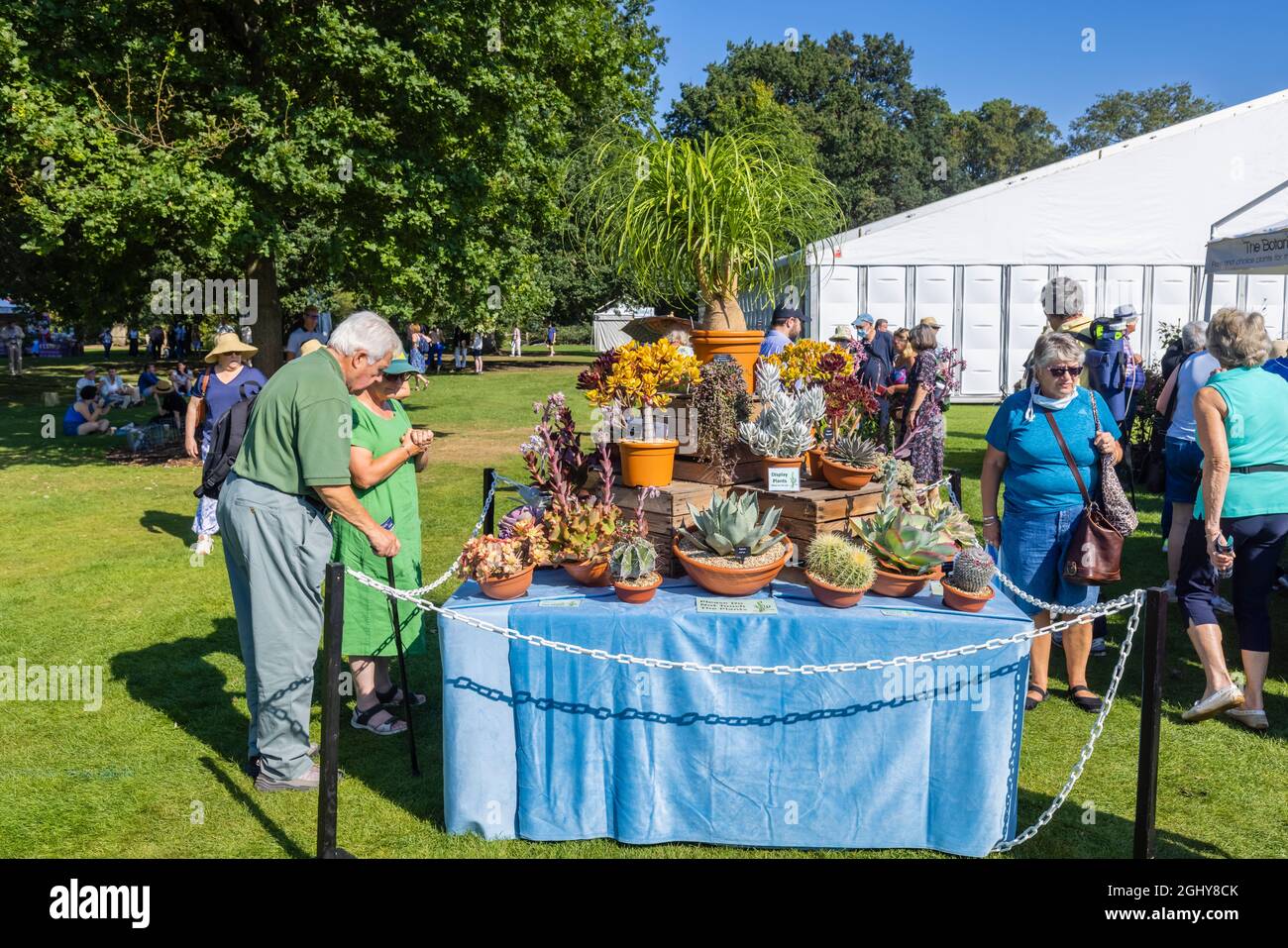 Exposition de succulents et de cactus au RHS Garden Wisley Flower Show 2021, le spectacle annuel dans le légendaire RHS Garden à Wisley, Surrey, début septembre Banque D'Images