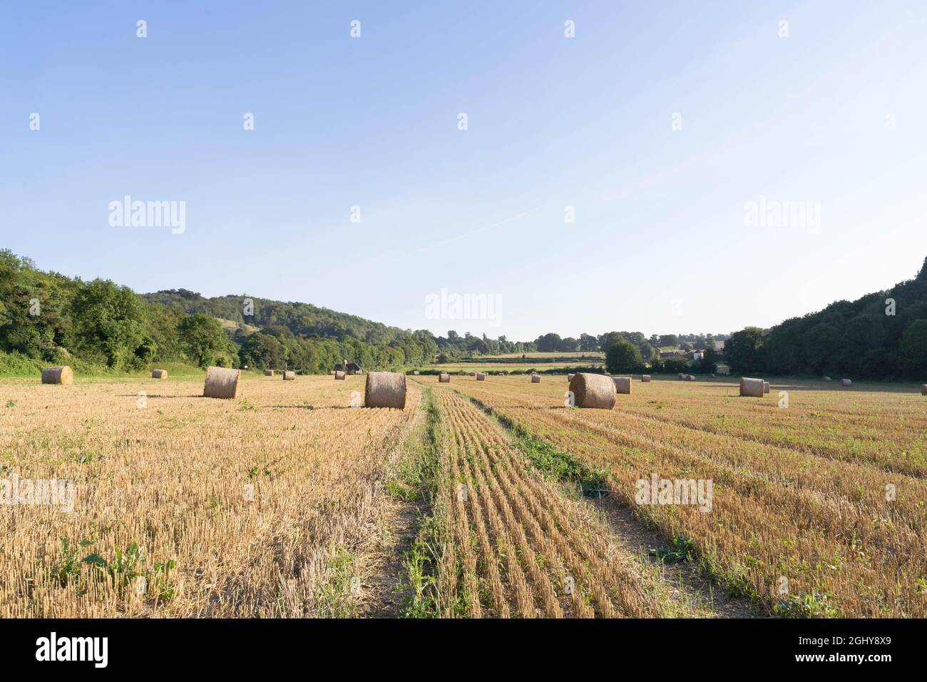 Kent, Angleterre, 07 septembre 2021. Tracteur transportant des rouleaux de balles de foin - les empiler loin dans le hangar de la forte pluie prévue par le Royaume-Uni a rencontré le bureau d'avertissement météorologique jaune pendant 10 heures d'orages pour lash Royaume-Uni d'ici mercredi. Credit: Xiu Bao/Alamy Live News Banque D'Images