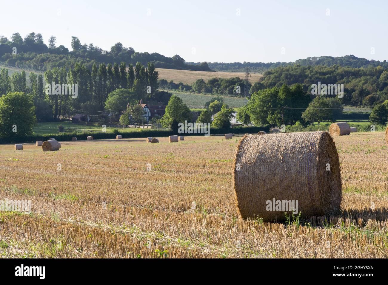 Kent, Angleterre, 07 septembre 2021. Tracteur transportant des rouleaux de balles de foin - les empiler loin dans le hangar de la forte pluie prévue par le Royaume-Uni a rencontré le bureau d'avertissement météorologique jaune pendant 10 heures d'orages pour lash Royaume-Uni d'ici mercredi. Credit: Xiu Bao/Alamy Live News Banque D'Images