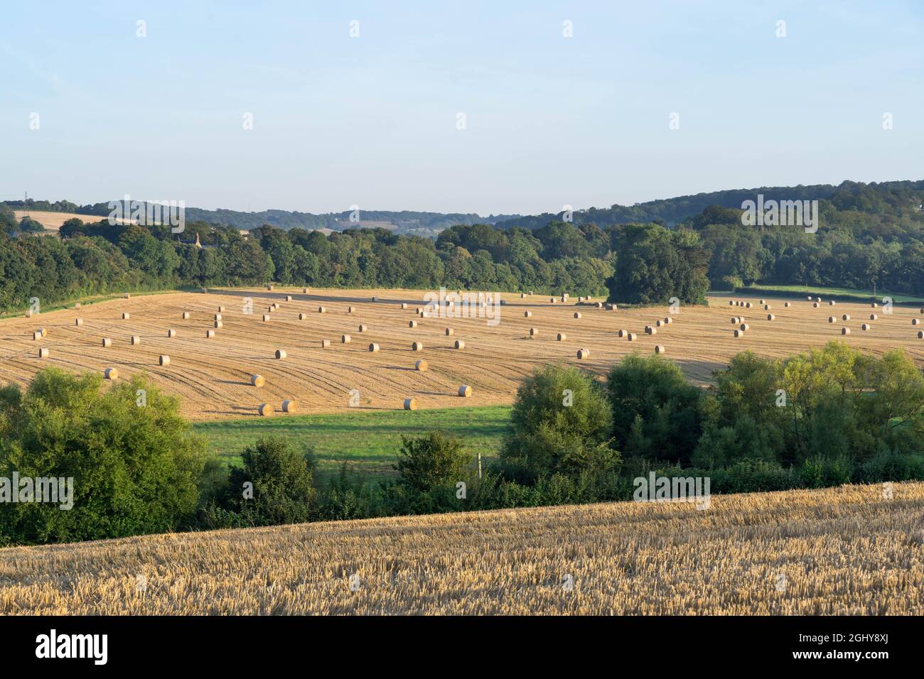 Kent, Angleterre, 07 septembre 2021. Tracteur transportant des rouleaux de balles de foin - les empiler loin dans le hangar de la forte pluie prévue par le Royaume-Uni a rencontré le bureau d'avertissement météorologique jaune pendant 10 heures d'orages pour lash Royaume-Uni d'ici mercredi. Credit: Xiu Bao/Alamy Live News Banque D'Images