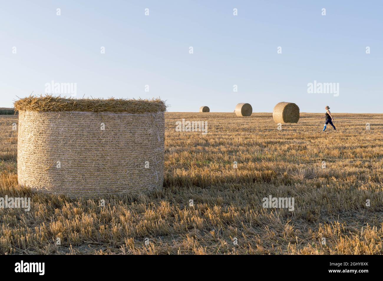 Kent, Angleterre, 07 septembre 2021. Tracteur transportant des rouleaux de balles de foin - les empiler loin dans le hangar de la forte pluie prévue par le Royaume-Uni a rencontré le bureau d'avertissement météorologique jaune pendant 10 heures d'orages pour lash Royaume-Uni d'ici mercredi. Credit: Xiu Bao/Alamy Live News Banque D'Images