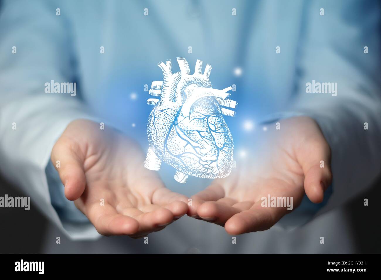Problèmes cardiaques concept médical. Photo d'une femme médecin, espace vide. Banque D'Images