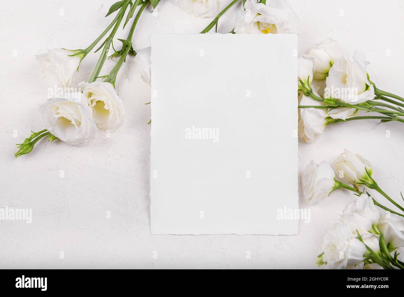 Vertical Vide 7x5 Carte Maquette Avec Fleurs D Eustoma Lisanthus Blanc En Fleurs Element De Design Pour L Invitation De Mariage De Remerciement Ou De Carte De Voeux Irg Photo Stock Alamy