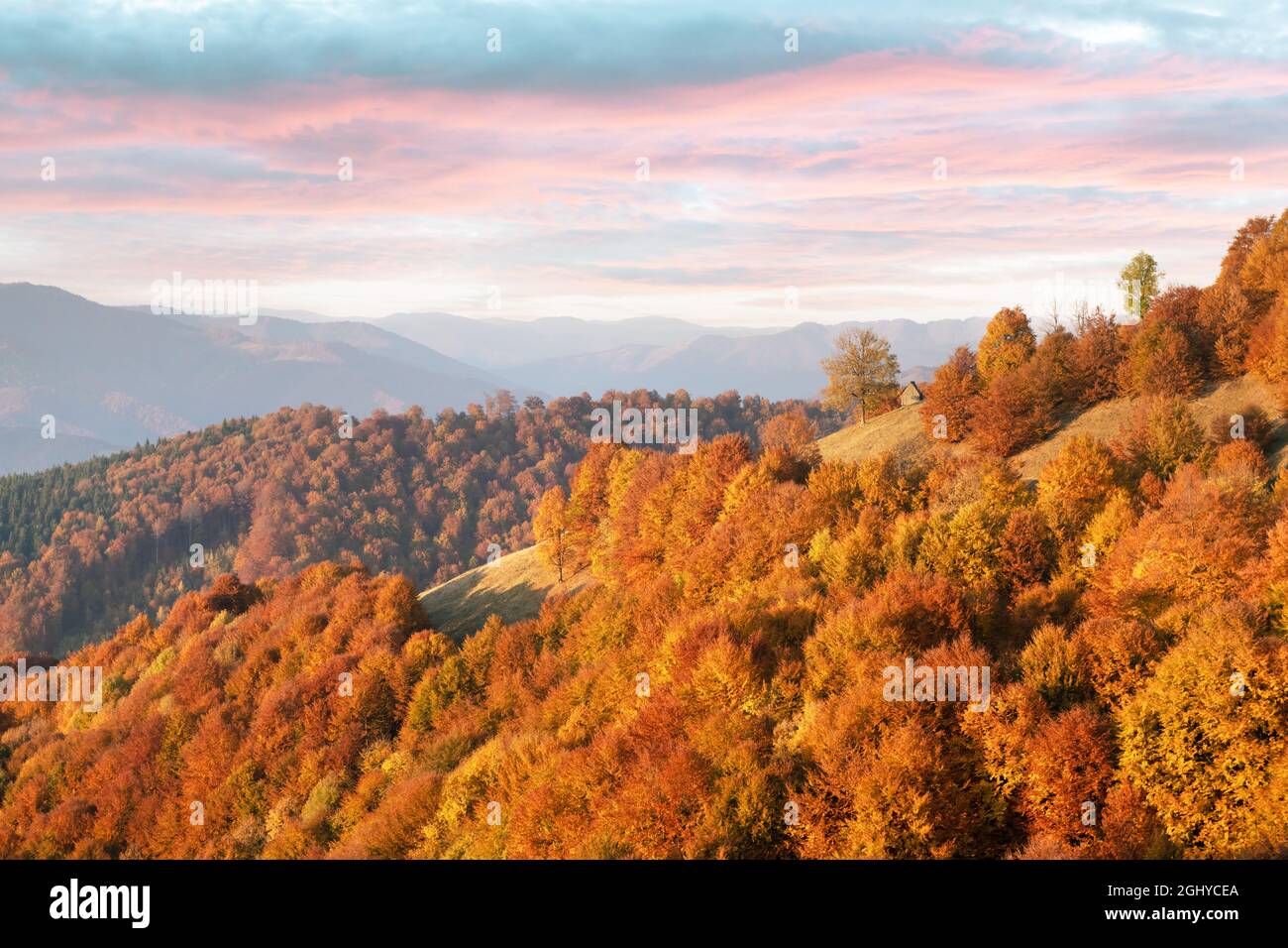 Automne forêt pittoresque avec des maisons en bois rouge et de hêtres dans les Carpates, l'Ukraine. Photographie de paysage Banque D'Images