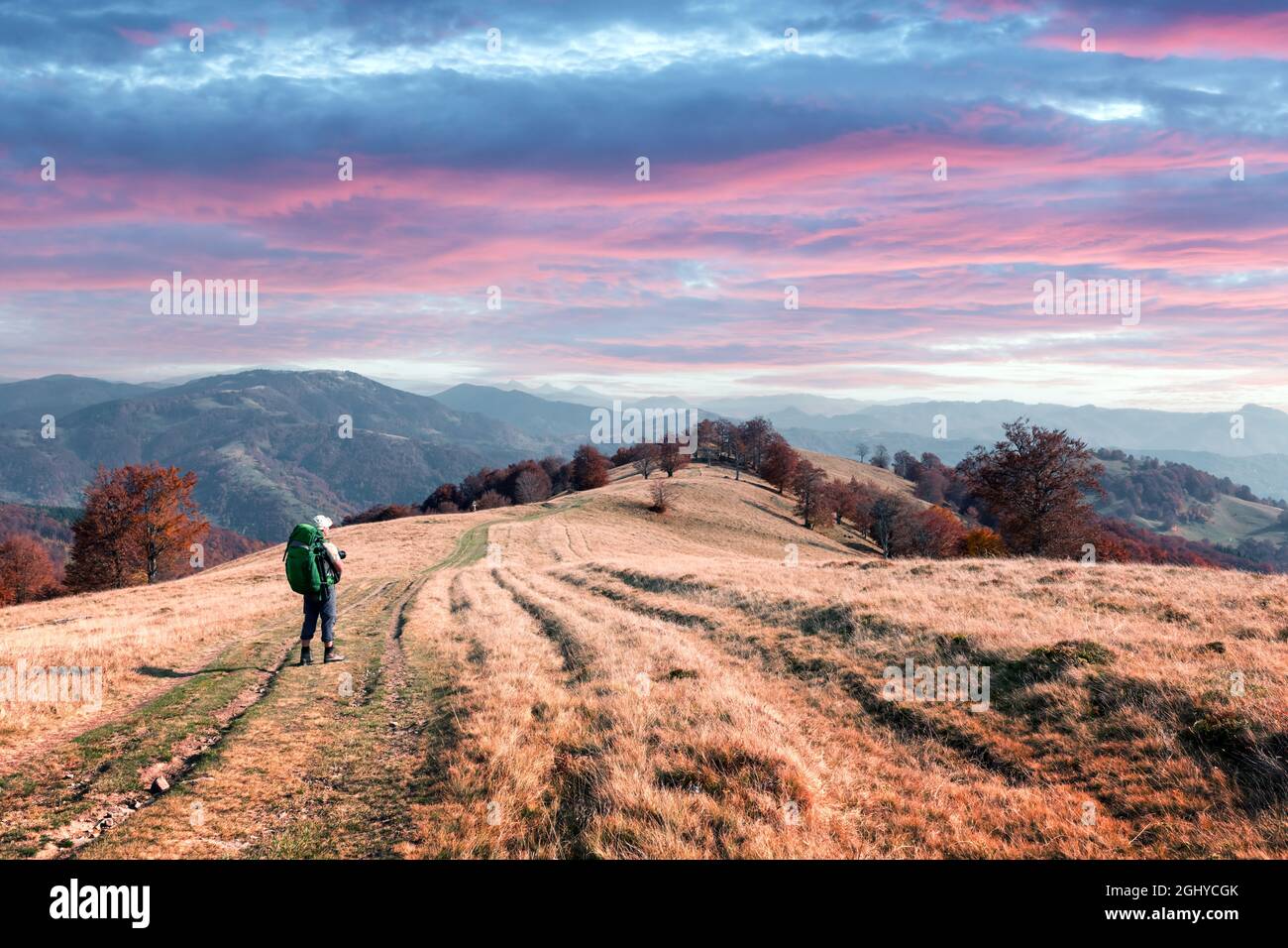 Backpacker dans un pré d'automne ensoleillé avec des hêtres orange. Montagnes des Carpates ukrainiennes. Photographie de paysage Banque D'Images