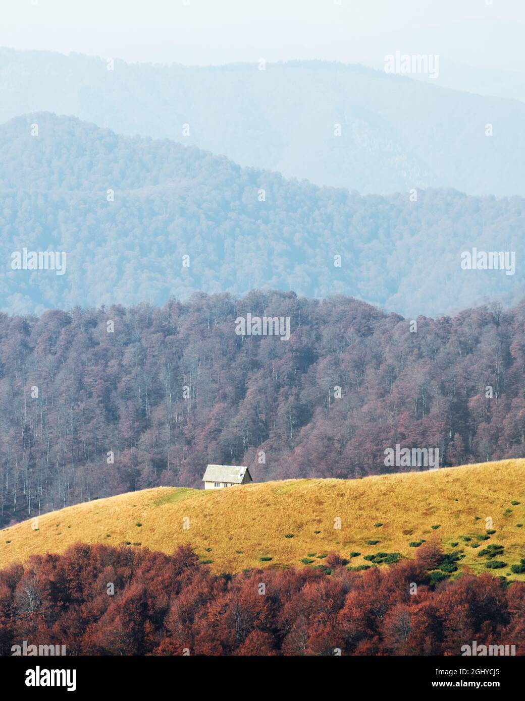 Automne pittoresque prairie avec maisons en bois hêtre rouge et arbres dans les Carpates, l'Ukraine. Photographie de paysage Banque D'Images