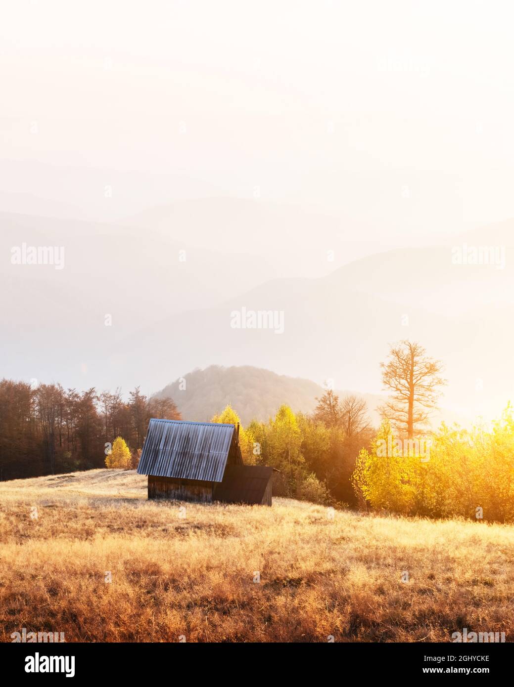 Automne pittoresque prairie avec maisons en bois hêtre rouge et arbres dans les Carpates, l'Ukraine. Photographie de paysage Banque D'Images