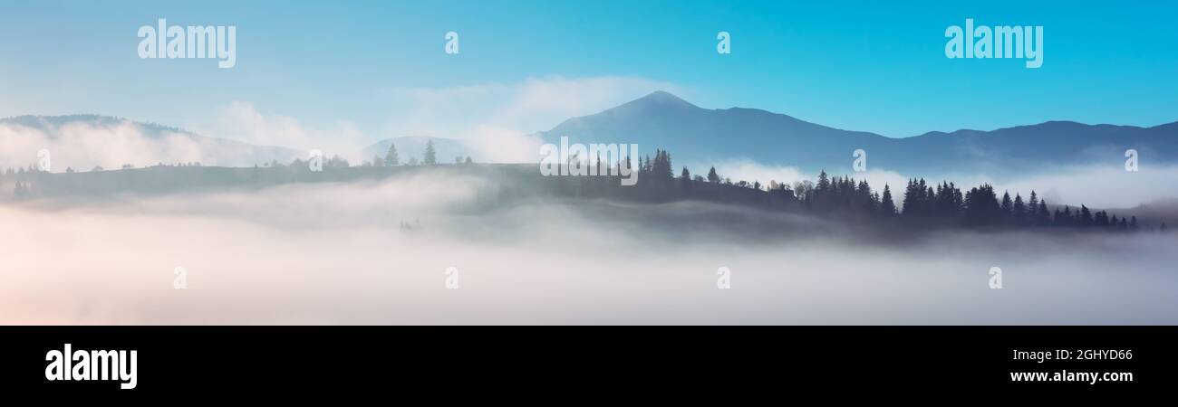 Panorama de la haute montagne avec ciel bleu. Forêt brumeuse dans la lumière fantastique du soleil du matin. Carpates, Europe. Photographie de paysage Banque D'Images