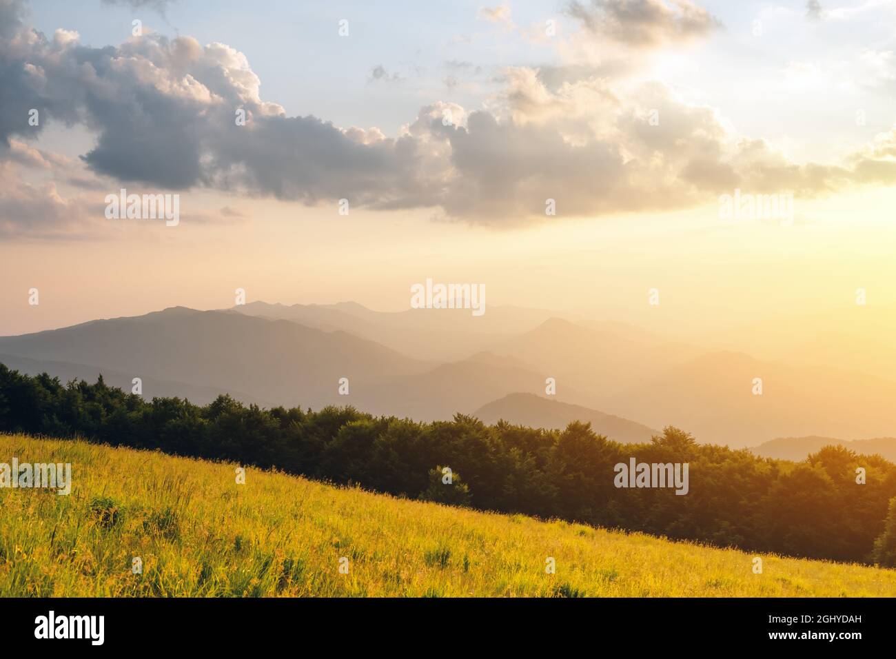 Scène incroyable dans les montagnes d'été. Des prairies verdoyantes et verdoyantes dans une fantastique lumière du soleil le soir. Carpates, Europe. Photographie de paysage Banque D'Images