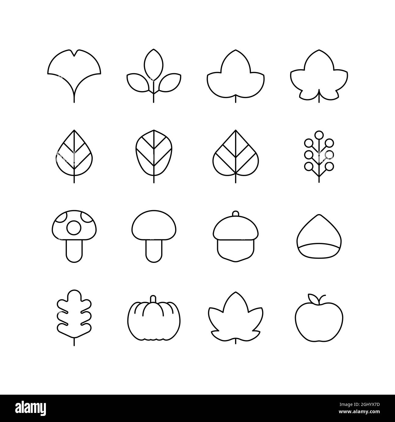 Jeu d'icônes de concept d'automne. Feuilles d'érable, feuilles de ginkgo, feuilles mortes, champignons, citrouilles, pommes, châtaignes. Banque D'Images