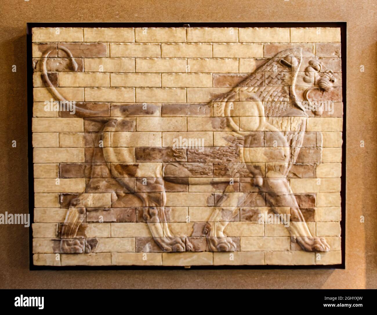 Frises de lion en briques vitrifiées à Darius le palais du Grand à Susa, exposées au musée du Louvre, Paris, France Banque D'Images