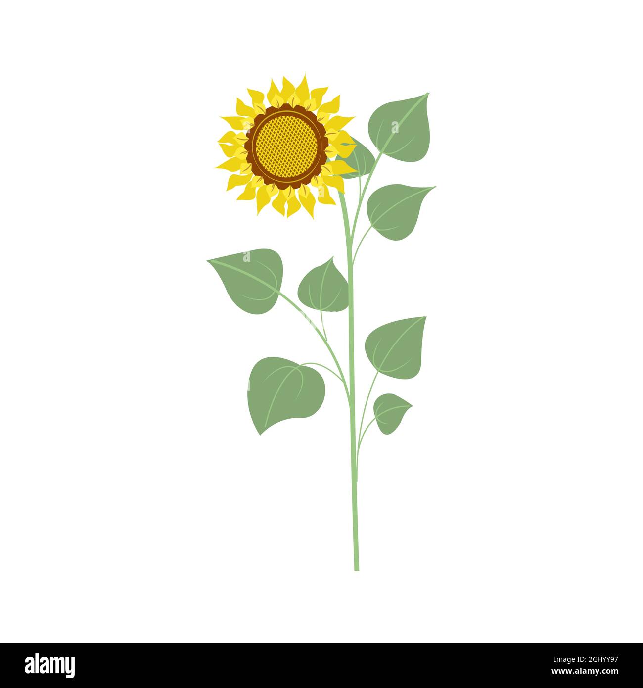 Grosse fleur de tournesol, récolte d'automne. Illustration de style plat, isolée Illustration de Vecteur