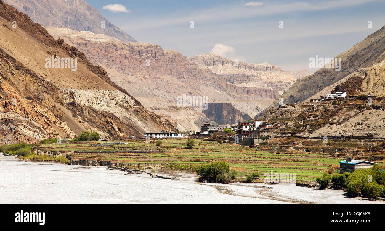 agriculture dans le village de Kagbeni - Bas Mustang - Kali Gandaki Nadi rivière sacrée et vallée Népal Banque D'Images