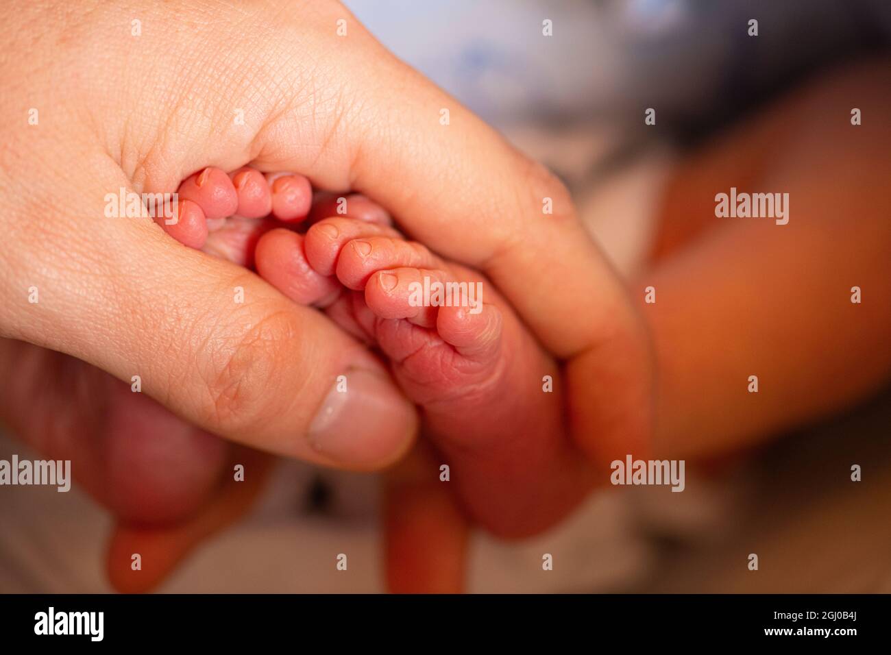 Les pieds de bébé étant tenus par le papa, avec les petits orteils de bébé, les mains de Père tenant mignon beau blanc nouveau-né bébé garçon peu de pieds roses Banque D'Images