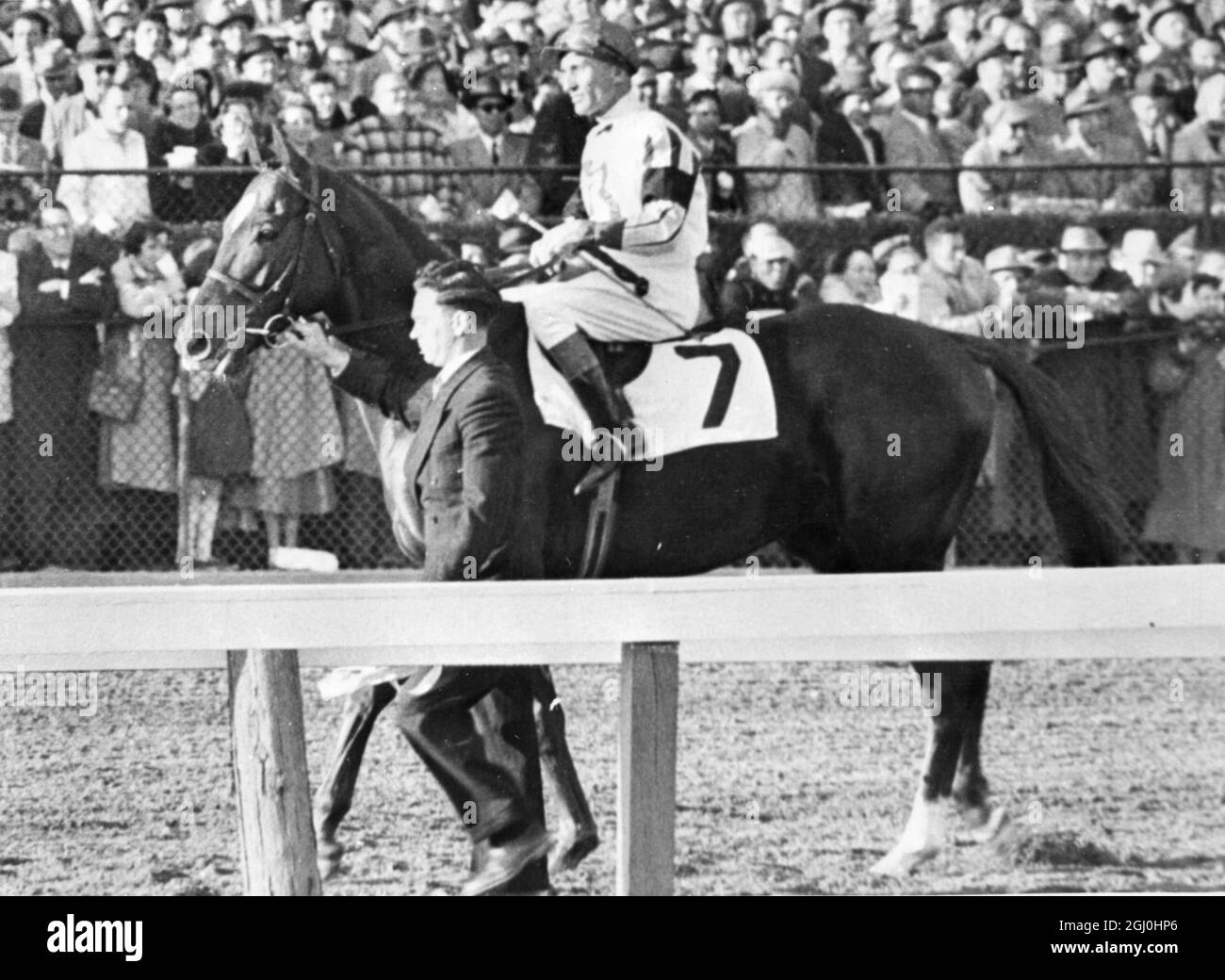 Laurel, Maryland: Avec l'espoir de milliers de punters, petits et grands, Ballymoss est paradé aux postes de départ pour la course internationale de Laurel à Laurel Park, Maryland, le 11 novembre. Hélas, le grand cheval est arrivé troisième dans une photo finale pour la deuxième et troisième place. Le gagnant était l'ère Tudor, mais il a été disqualifié de la première place après qu'une réclamation au titre de faute ait été déposée, et placé deuxième auprès du Guide de Sailor, qui était deuxième, a déclaré le gagnant. Ballymoss est monté par Beasley. Une foule est venue assister à la course internationale de Washington D.C.. 13 novembre 1958 Banque D'Images