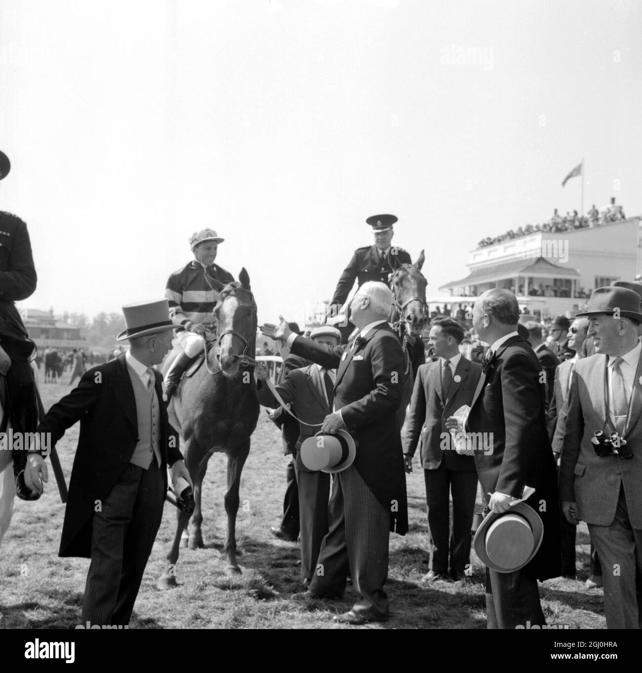 Epsom, Surrey, Angleterre : et New Yorker Raymond Guest (à droite) a toutes les raisons de donner à son cheval une pat de félicitations. Pour Larkspur, avec le jockey australien Neville Sellwood dans la selle venait de gagner cette année les 183e piquets du Derby ici aujourd'hui. La joyeuse rencontre a eu lieu quand Larkspur a été conduit en dehors du cours après sa grande victoire. Le deuxième a été Arcor, monté par Rodger Poinelet, et possédé par le magnat français du textile Marcel Boussac, et le troisième a été le cheval de Mme Suzy Volterra, le Cantilien, monté par Yves Saint-Martin le 6 juin 1962 Banque D'Images