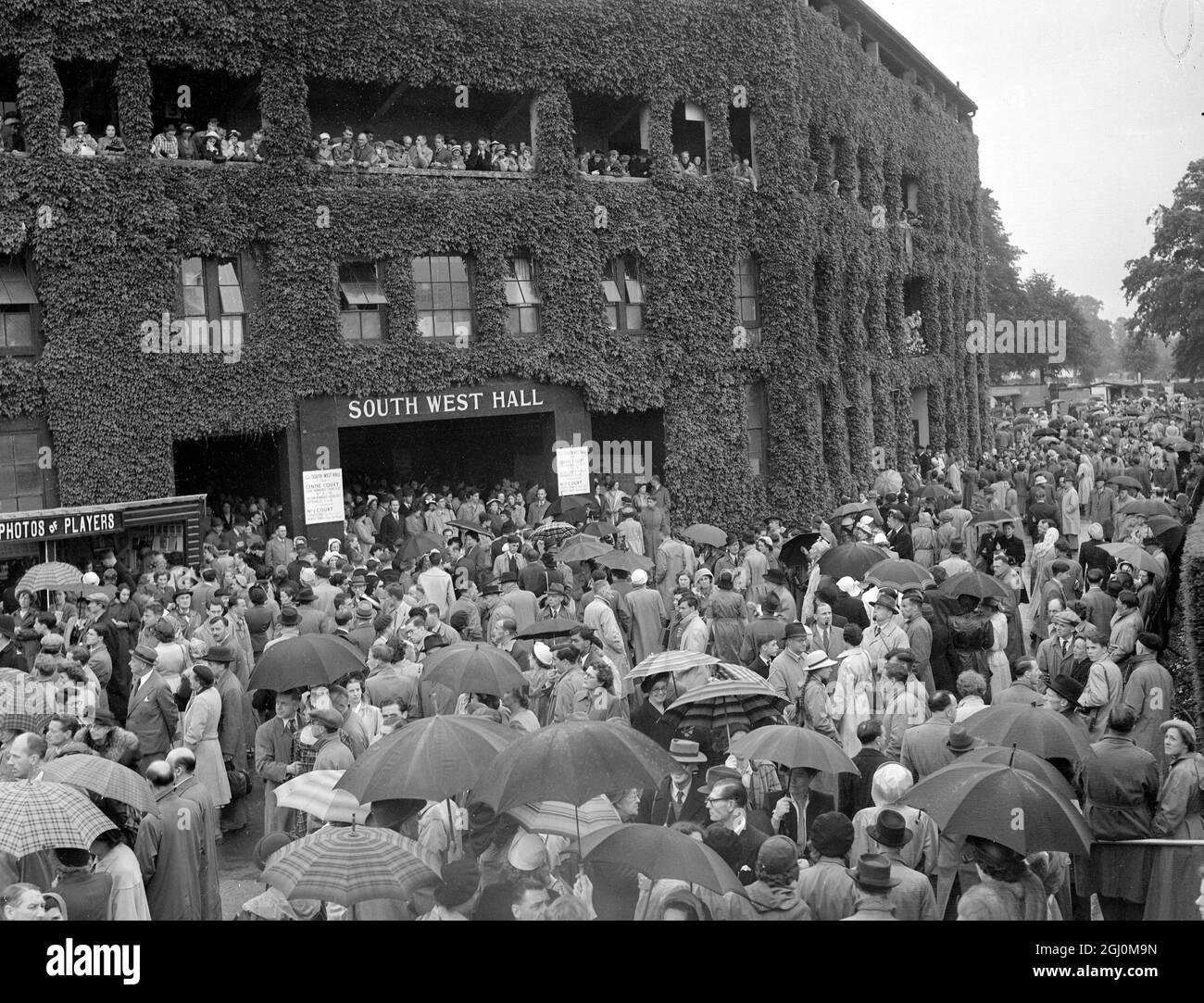 Les arrêts de pluie jouent à Wimbledon les spectateurs sont présentés avec des parasols en attente de pause par temps. 26 juin 1951 Banque D'Images