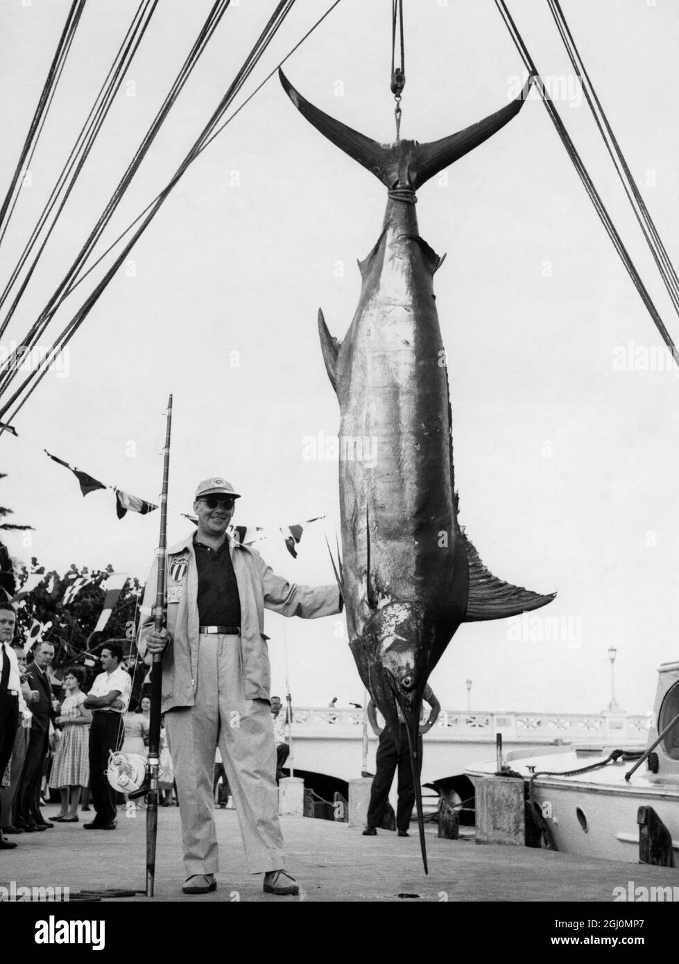 William G. Carrington Jr. De New York City, se dresse fièrement aux côtés du géant Blue Marlin qu'il a débarqué dans les eaux au large de San Juan, Porto Rico. Il a utilisé une ligne d'essai de 39 livres pour accrocher le poisson de 435 livres. Carrington était membre de l'équipe du Club Nautico de San Juan et participe à un voyage de pêche contre une équipe de Caroline du Nord pour déterminer laquelle des zones est le centre de Blue Marlin du monde - 24 août 1959 ©TopFoto Banque D'Images
