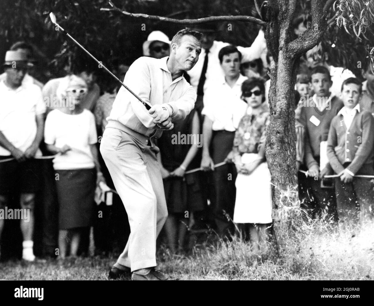 Allez sur Southpaws, battez ça ! Arnold Palmer se met à l'aise en utilisant son fer n° 1 vers l'arrière, en utilisant une poignée gauche, après s'être atterri dans le difficile, loin du tronc d'un arbre, dans une exposition de quatre-ballerines au Northern Golf Club, Victoria, Australie, dimanche dernier. Il s'est associé au Northern Club Professional Alan Heil contre Bob Charles, vainqueur de l'Open britannique et Hideyo Sugimoto du Japon. Charles et Suginoto ont gagné 2 et 1. Palmer a encore parré le trou, le 8e, avec un 5. 14 novembre 1963 Banque D'Images