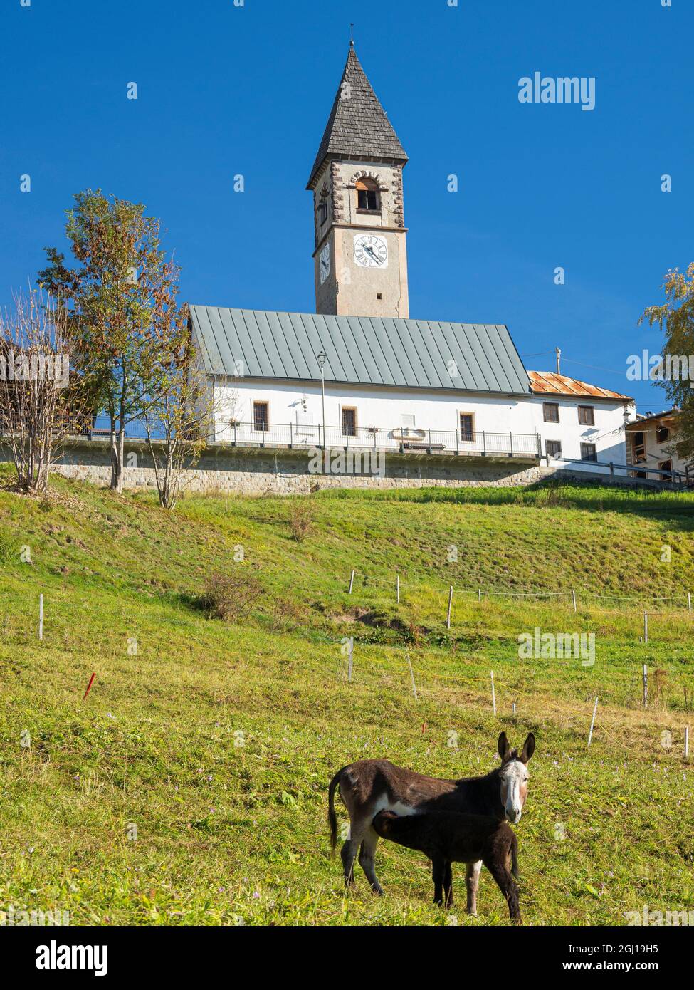 L'église. Village Sappade, architecture alpine traditionnelle dans la vallée du Val Biois, Italie. Banque D'Images