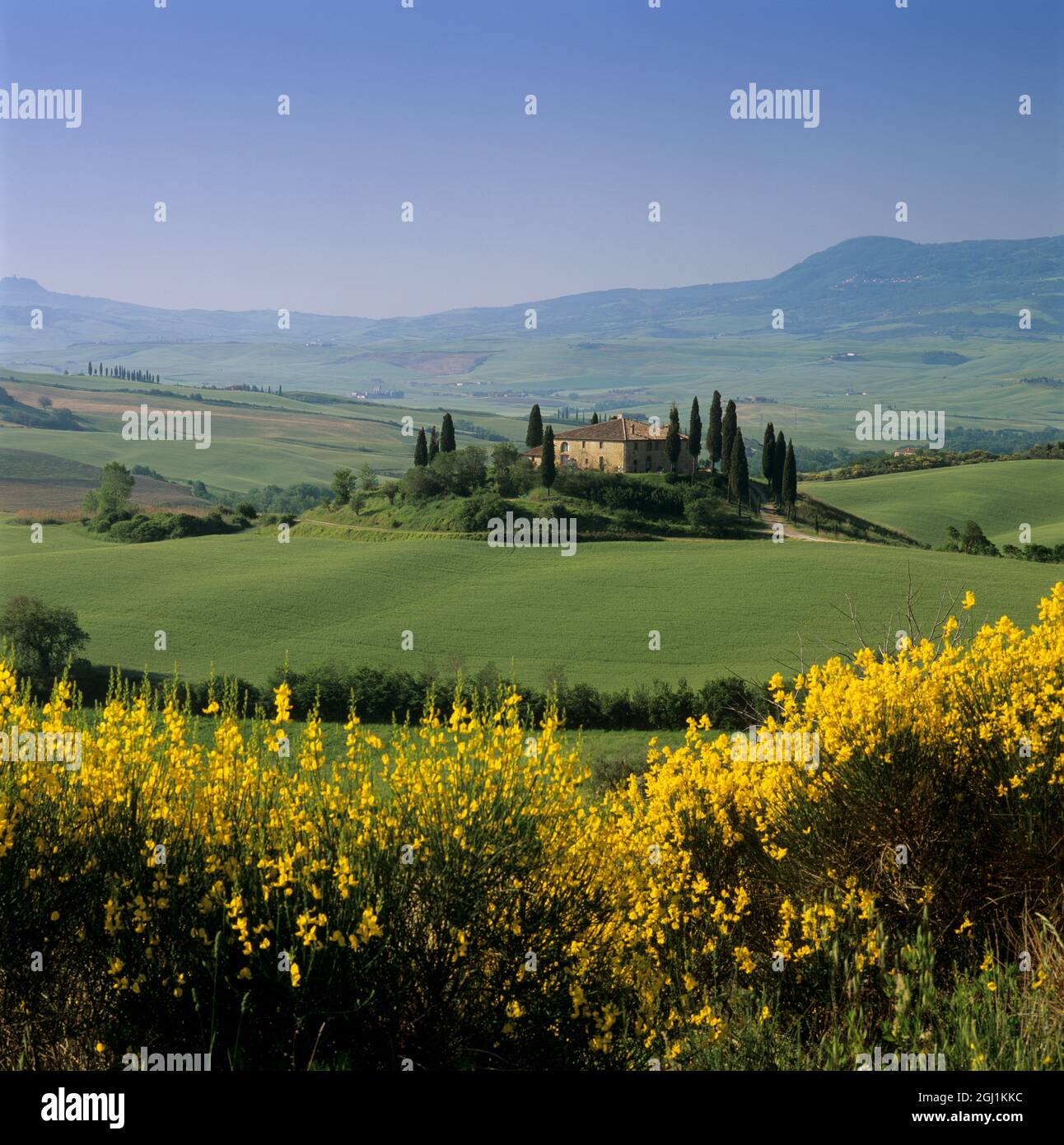 Ferme toscane avec cyprès et paysage de printemps, San Quirico d'Orcia, province de Sienne, Toscane, Italie, Europe Banque D'Images