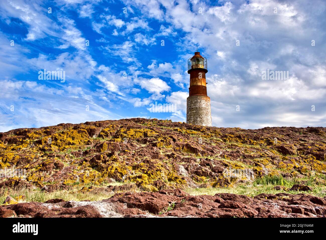 Argentine, Santa Cruz. Puerto Deseado, île des pingouins. Banque D'Images