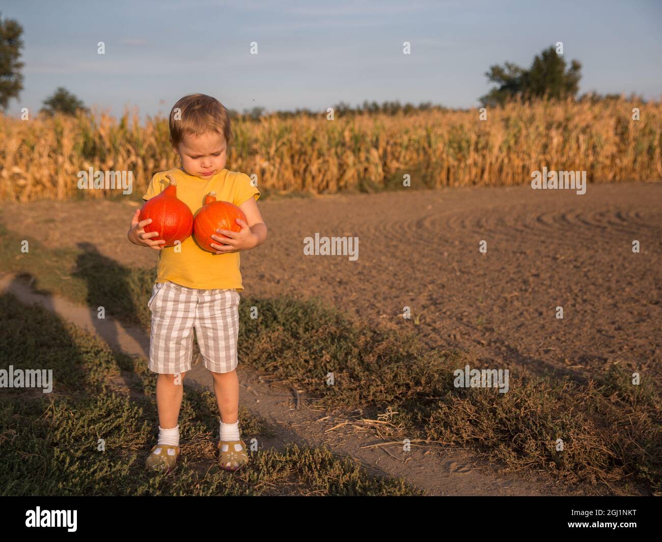 Adorable petite fille tenant deux petits citrouilles sur le terrain. Hongrie Banque D'Images