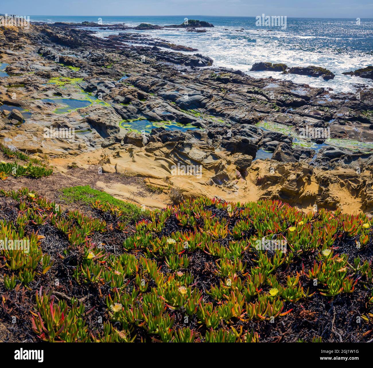 Bean Hollow Beach, Californie, États-Unis Banque D'Images