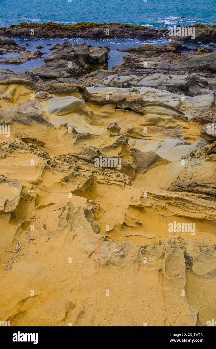Formations rocheuses à Bean Hollow Beach, Californie, États-Unis Banque D'Images