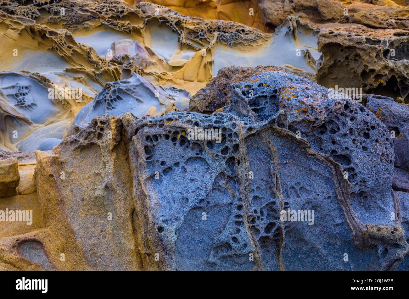 Formations rocheuses à Bean Hollow Beach, Californie, États-Unis Banque D'Images