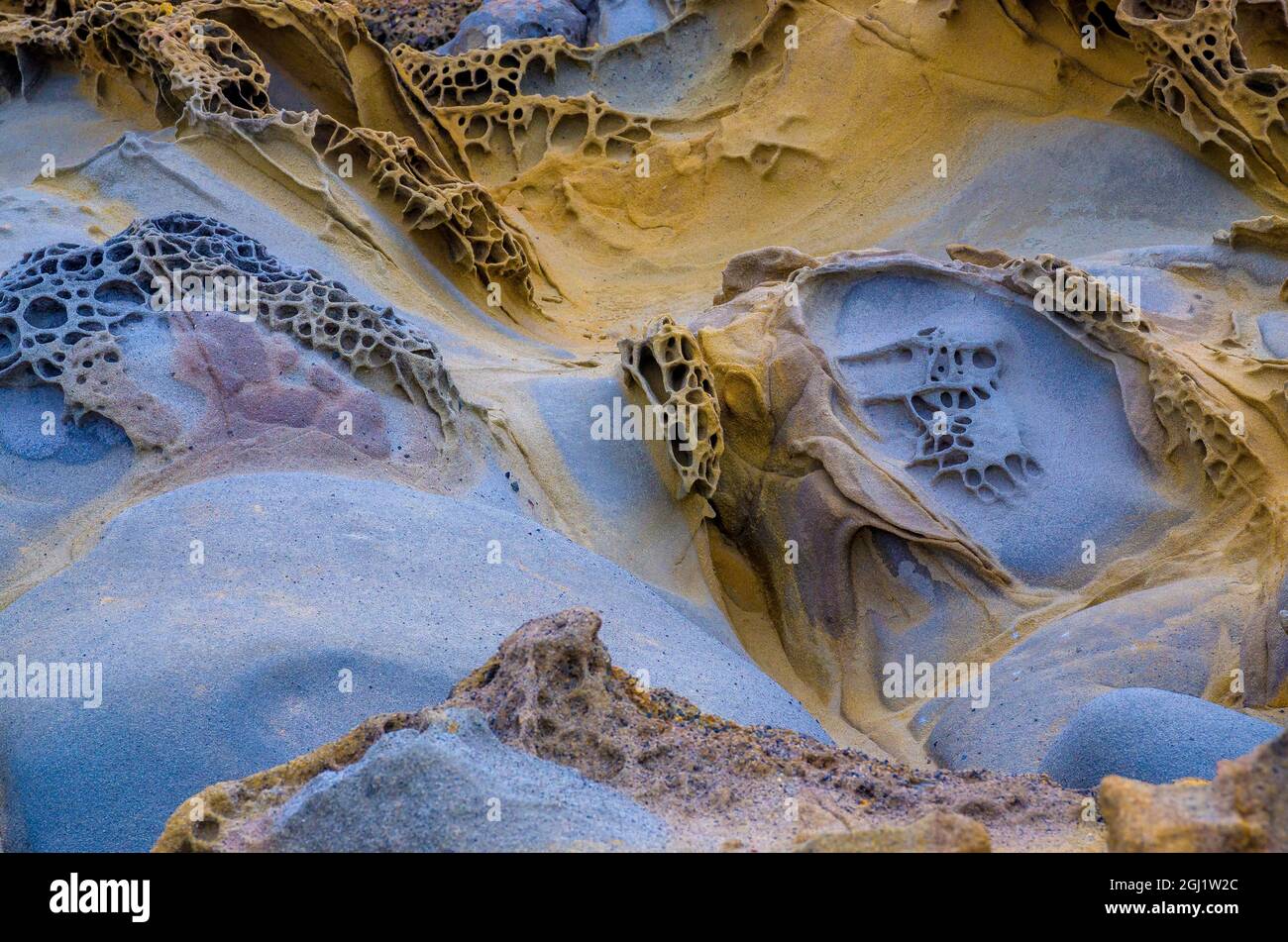 Formations rocheuses à Bean Hollow Beach, Californie, États-Unis Banque D'Images