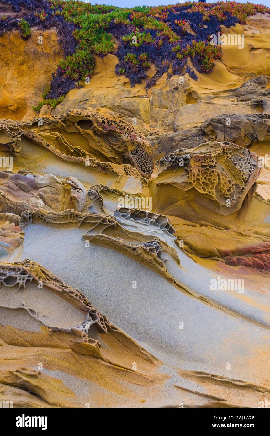 Formations rocheuses à Bean Hollow Beach, Californie, États-Unis Banque D'Images