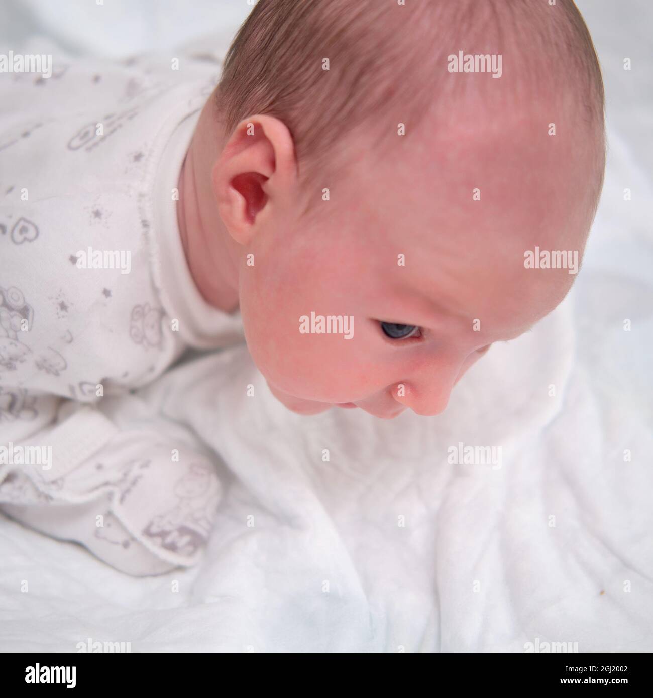 Un Bebe Age De 1 Mois Apprend A Garder Sa Tete Allongee Sur Son Ventre Un Enfant De Race Blanche Dans Une Chambre Blanche A La Maison Photo Stock Alamy