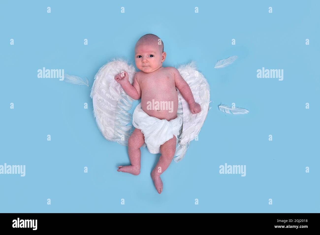 Un nouveau-né bébé garçon avec des ailes d'ange blanches sur un fond bleu  studio, espace de copie. Un enfant de race blanche dans une couche âgée  d'un mois Photo Stock - Alamy