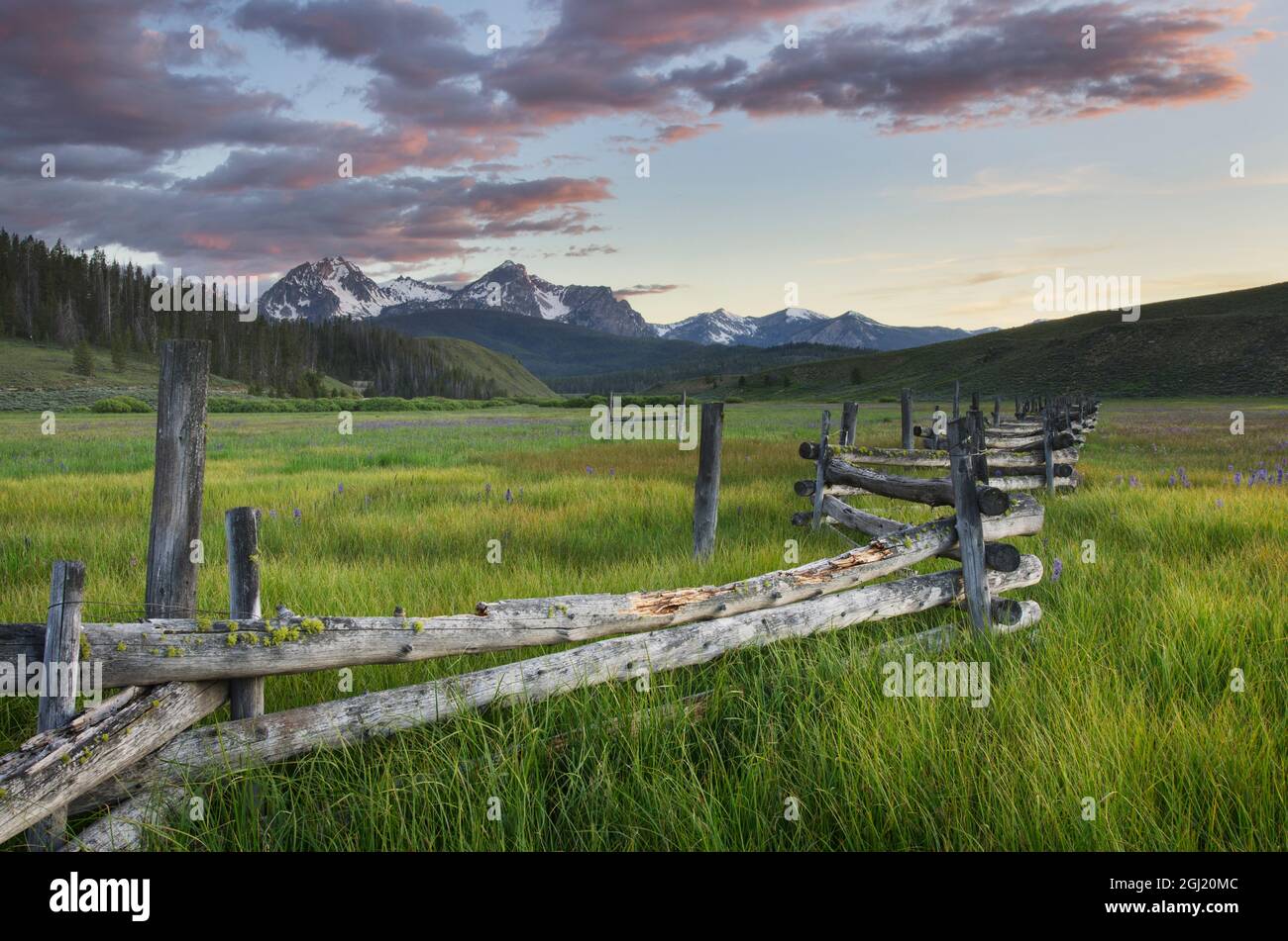 États-Unis, Idaho. Terres humides dans le bassin Stanley, les montagnes Sawtooth. Banque D'Images