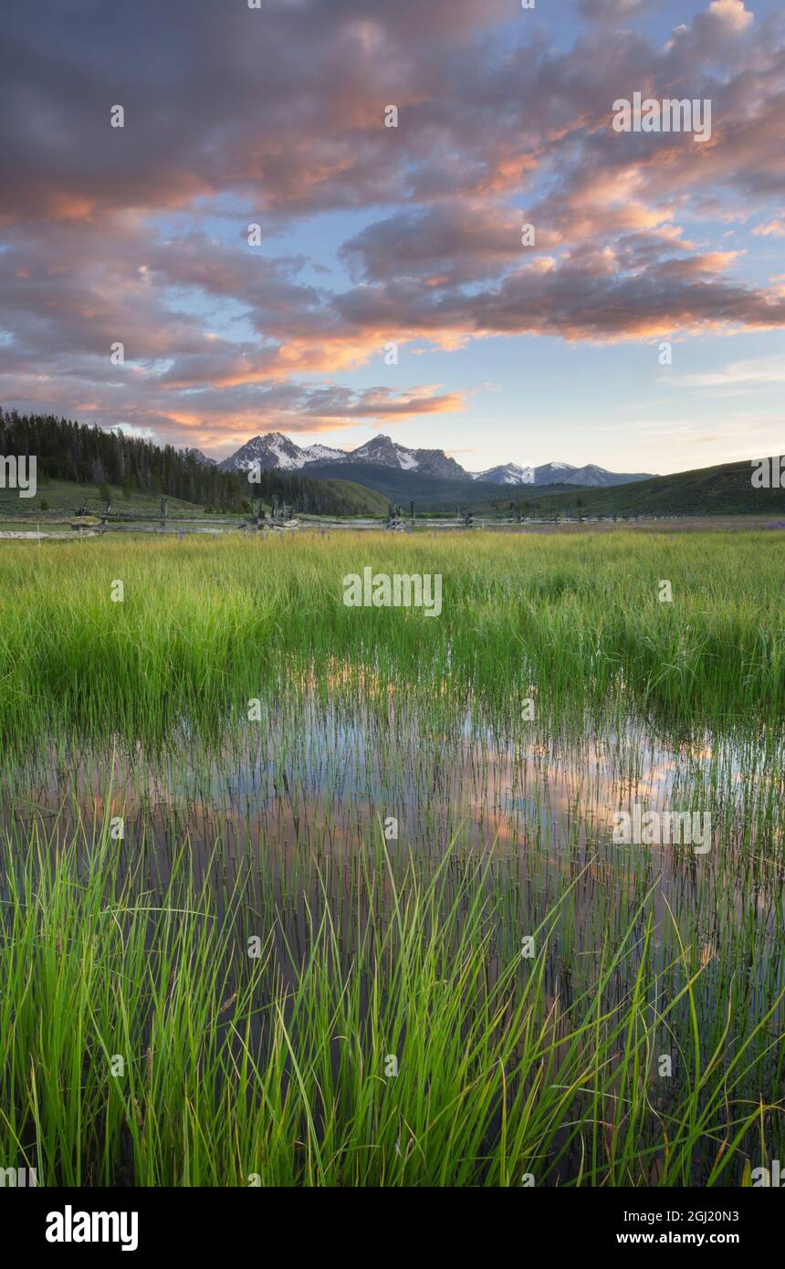 États-Unis, Idaho. Terres humides dans le bassin Stanley, les montagnes Sawtooth. Banque D'Images