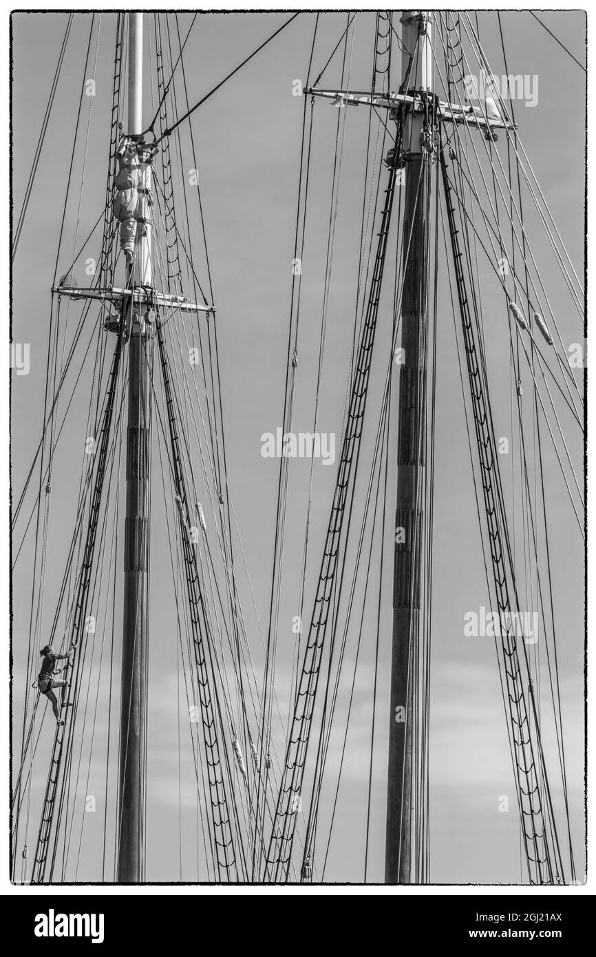 USA, New England, Massachusetts, Cape Ann, Gloucester, Gloucester, mâts goélette Schooner Festival Banque D'Images