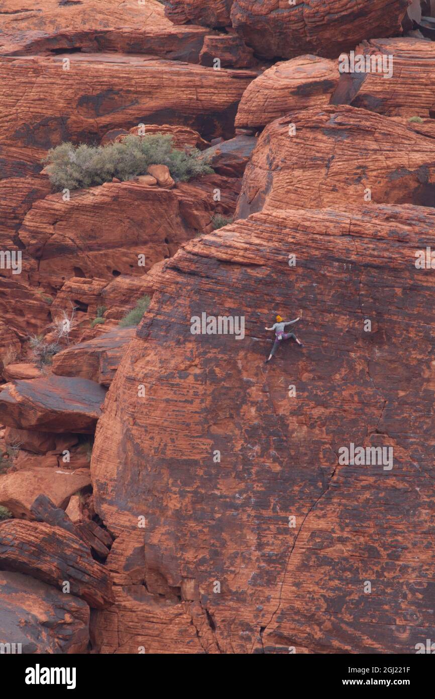 Grimpeur au Red Rock Canyon, Las Vegas, Nevada. Banque D'Images