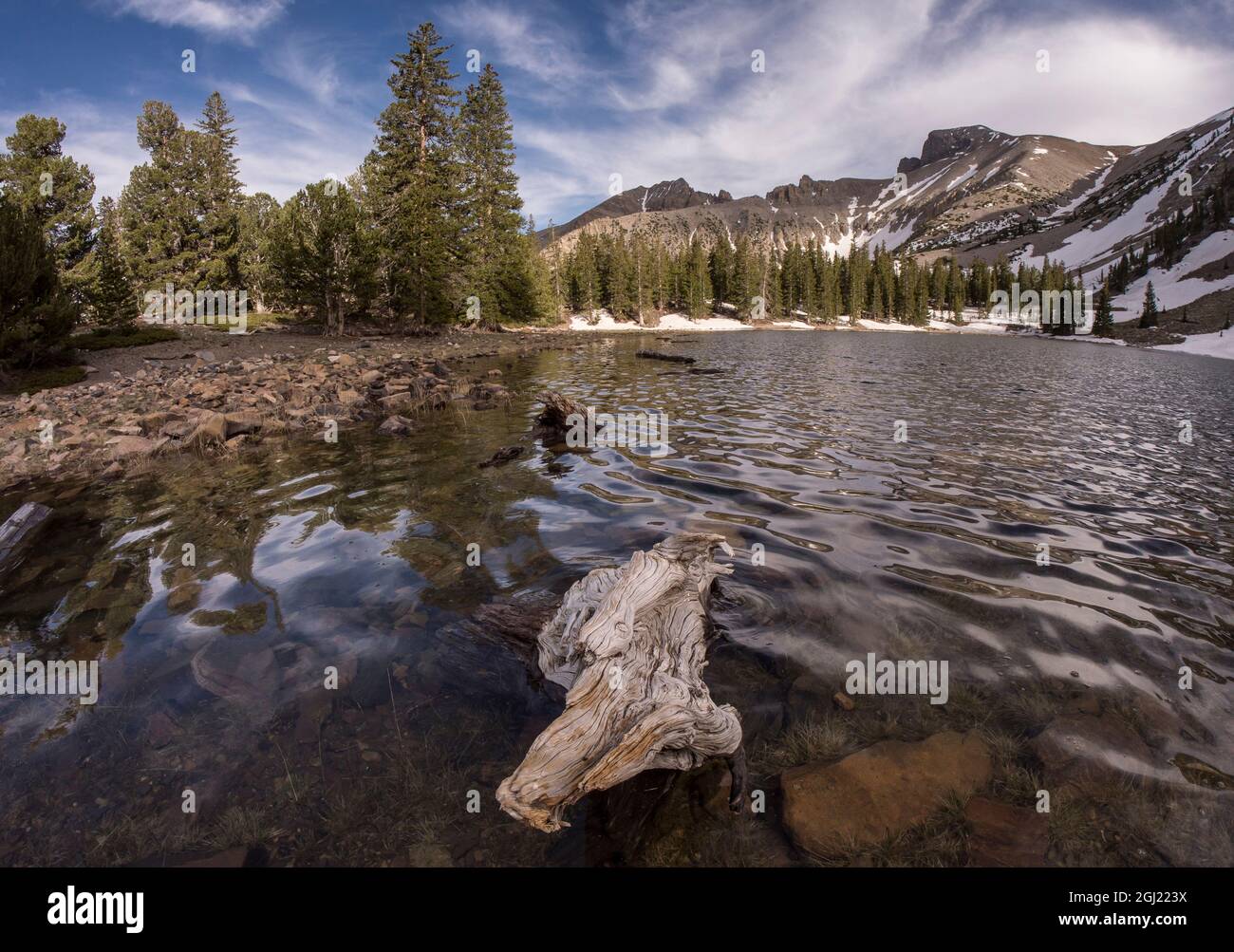 Stella Lake, Wheeler Peak, parc national de Great Basin à 10,000 mètres, après la fin de Wheeler Peak Scenic Drive, Nevada Banque D'Images