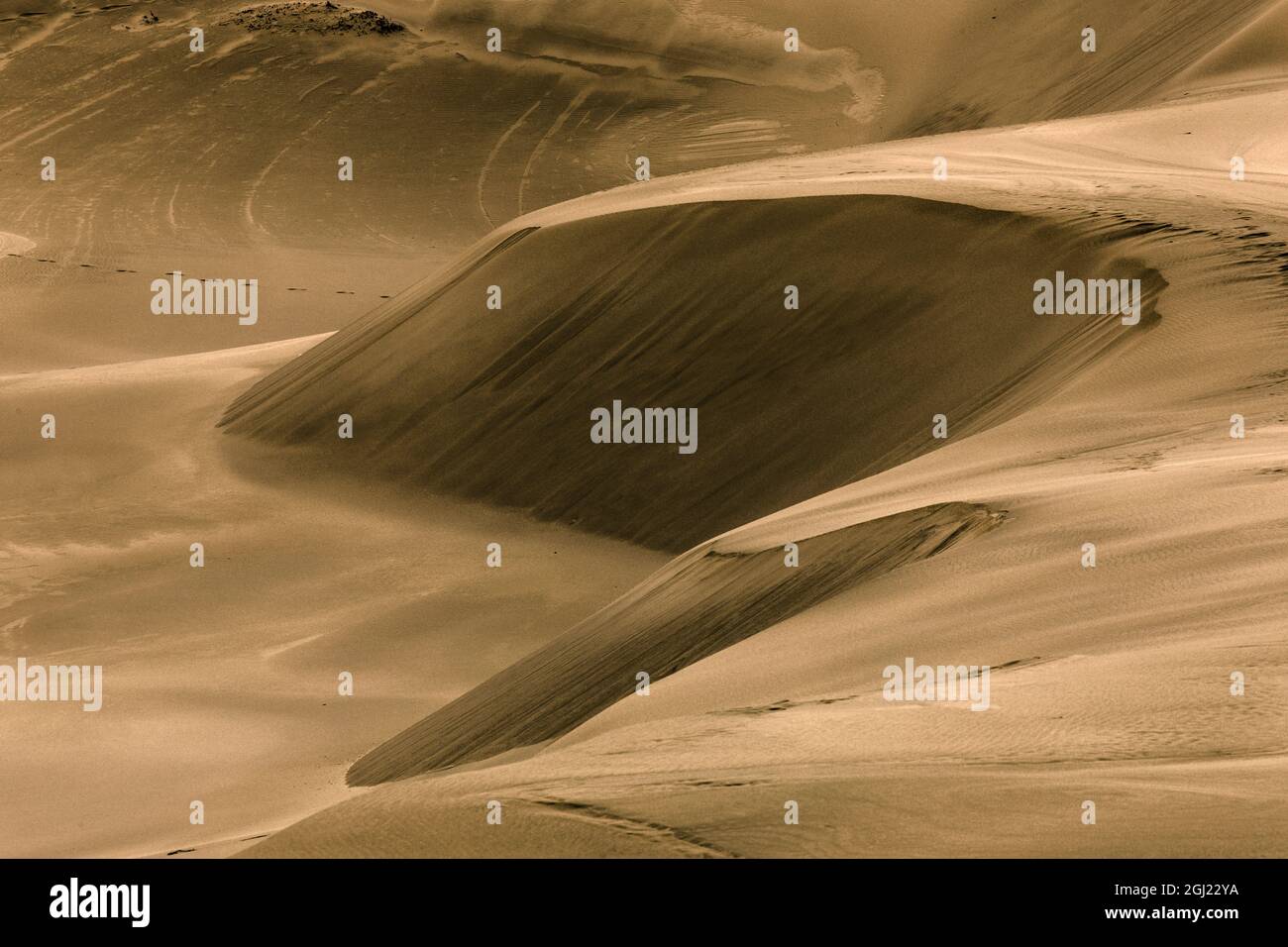Dunes dérivantes, dunes John Dellenback, forêt nationale de Siuslaw, comté de Coos, Oregon Banque D'Images