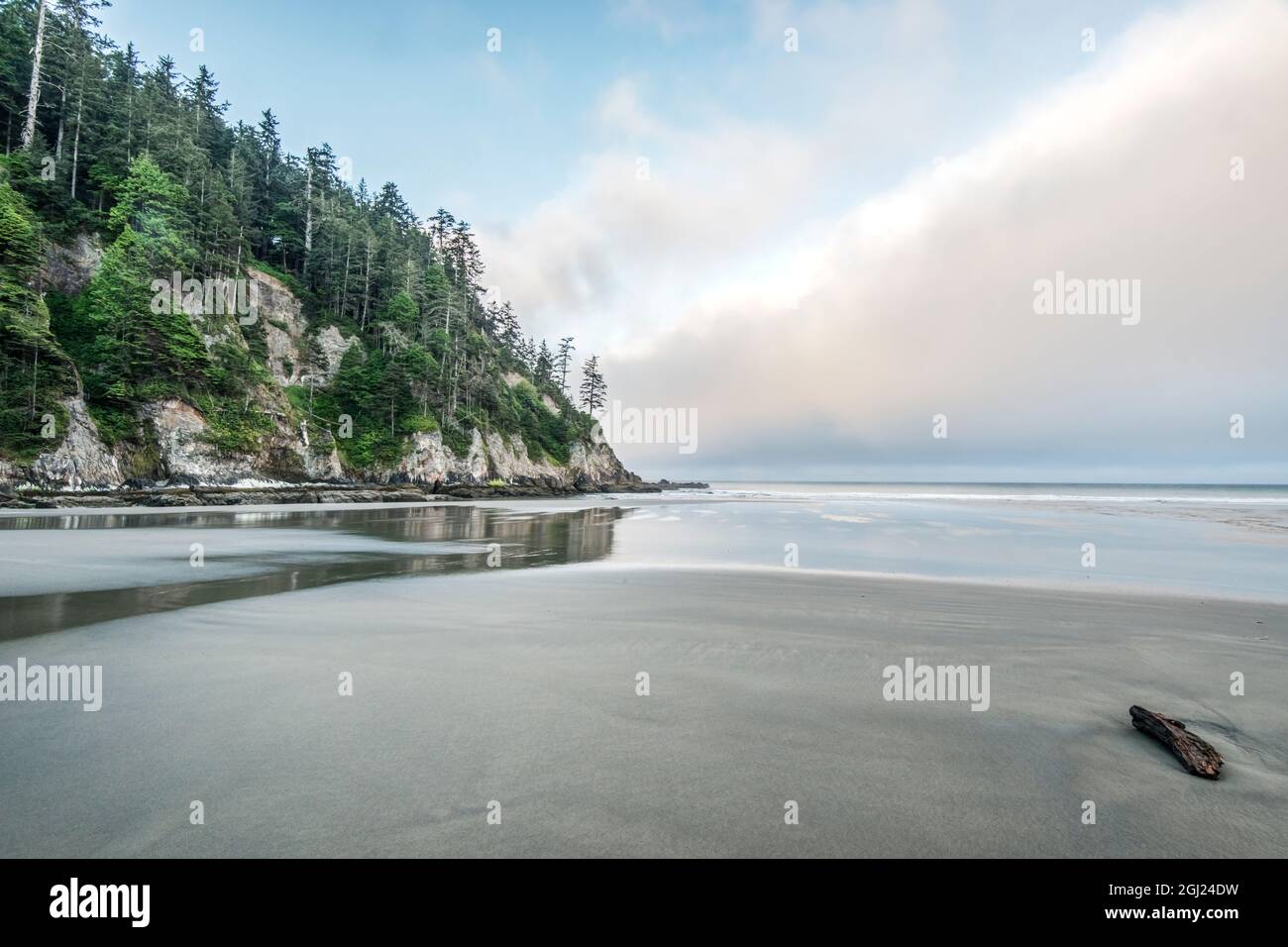 États-Unis, Oregon. Oswald West State Park, Short Sand Beach. Banque D'Images