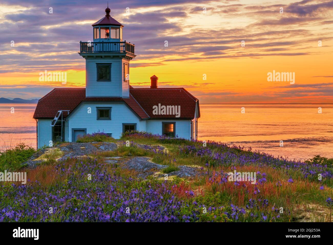 L'État de Washington, USA, îles San Juan. Patos Phare et camas fleurs au coucher du soleil. En tant que crédit : Don Paulson / Jaynes Gallery / DanitaDelimont.com Banque D'Images